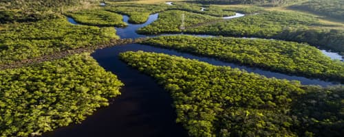 Curiosidades sobre Tiradentes e o ‘Descobrimento do Brasil’