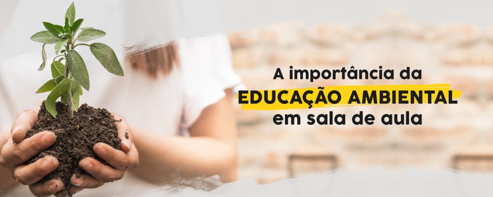 Educação ambiental: o que é e qual a sua importância para o ensino