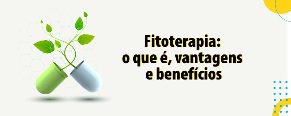 Fitoterapia: o que é, vantagens e benefícios e precauções quanto ao uso