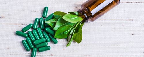 Vídeo esclarece informações da pós-graduação em 'Prescrição de Fitoterápicos'